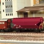 IMG_2421.JPG