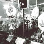 1982 Florès Le Rail vitrine Ae 3-6 II 2.jpg